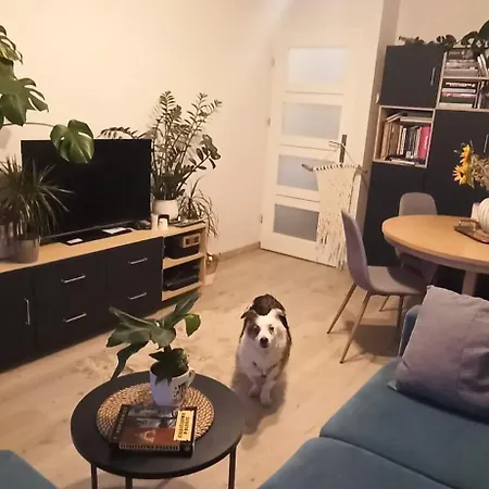 Apartmán Sloneczne Mieszkanie Blisko Morza