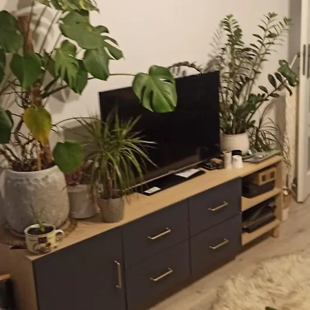 Apartament Słoneczne Mieszkanie Blisko Morza Gdańsk